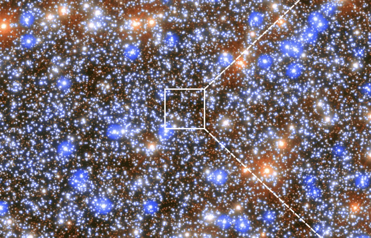 Intermediate-mass black hole discovery